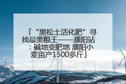 “黑松土活化肥”寻找最美粮王——濮阳站：碱地变肥地 濮阳小麦亩产1500多斤