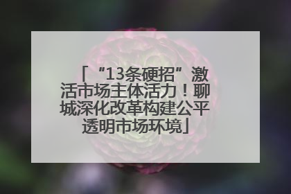 “13条硬招”激活市场主体活力！聊城深化改革构建公平透明市场环境