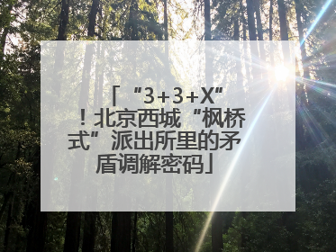 “3+3+X”！北京西城“枫桥式”派出所里的矛盾调解密码