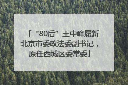 “80后”王中峰履新北京市委政法委副书记，原任西城区委常委