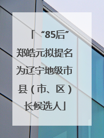 “85后”郑皓元拟提名为辽宁地级市县（市、区）长候选人
