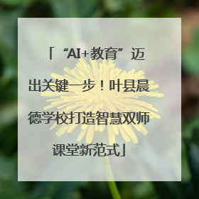 “AI+教育”迈出关键一步！叶县晨德学校打造智慧双师课堂新范式