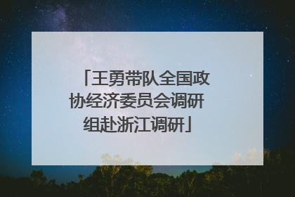 王勇带队全国政协经济委员会调研组赴浙江调研