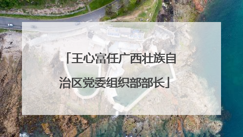 王心富任广西壮族自治区党委组织部部长