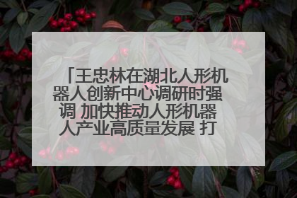 王忠林在湖北人形机器人创新中心调研时强调 加快推动人形机器人产业高质量发展 打造具有全国影响力的研发创新基地