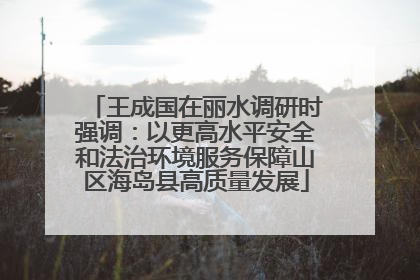 王成国在丽水调研时强调：以更高水平安全和法治环境服务保障山区海岛县高质量发展