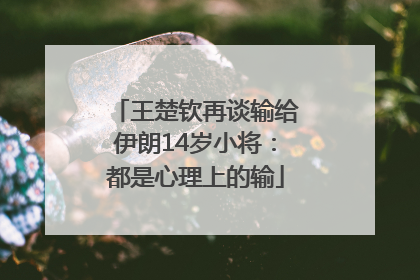 王楚钦再谈输给伊朗14岁小将：都是心理上的输