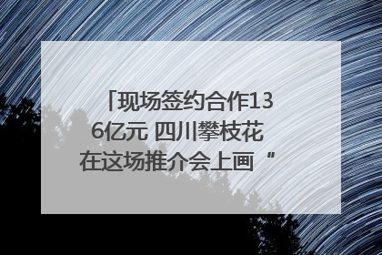 现场签约合作136亿元 四川攀枝花在这场推介会上画“图谱”列“清单”