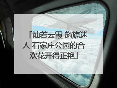 灿若云霞 旖旎迷人 石家庄公园的合欢花开得正艳