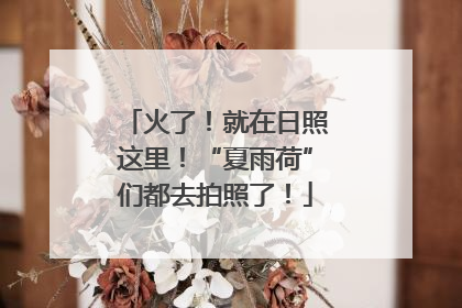 火了！就在日照这里！“夏雨荷”们都去拍照了！