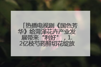 热播电视剧《国色芳华》给菏泽花卉产业发展带来“利好”，1.2亿枝芍药鲜切花绽放“国色芳华”