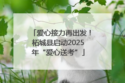 爱心接力再出发！柘城县启动2025年“爱心送考”