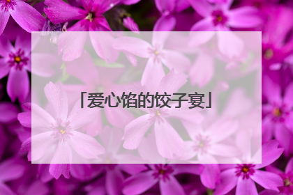 爱心馅的饺子宴