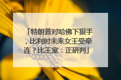 特朗普对哈佛下狠手，比利时未来女王受牵连？比王室：正研判
