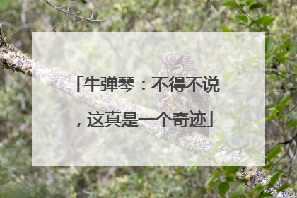 牛弹琴：不得不说，这真是一个奇迹