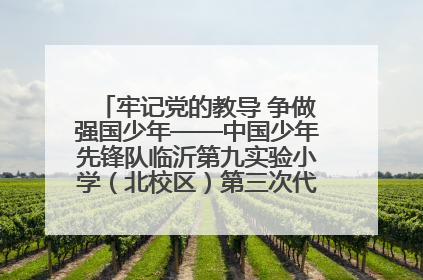 牢记党的教导 争做强国少年——中国少年先锋队临沂第九实验小学（北校区）第三次代表大会胜利召开