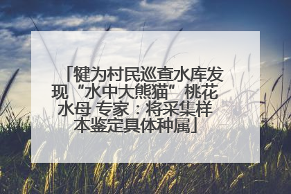 犍为村民巡查水库发现“水中大熊猫”桃花水母 专家：将采集样本鉴定具体种属
