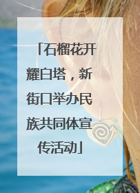 石榴花开耀白塔，新街口举办民族共同体宣传活动