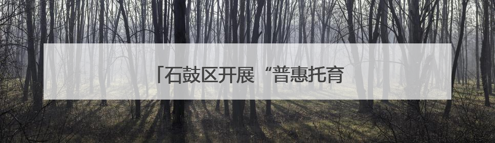 石鼓区开展“普惠托育、科学育儿”宣传活动