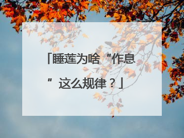 睡莲为啥“作息”这么规律？