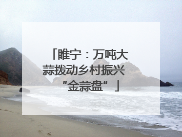 睢宁：万吨大蒜拨动乡村振兴“金蒜盘”