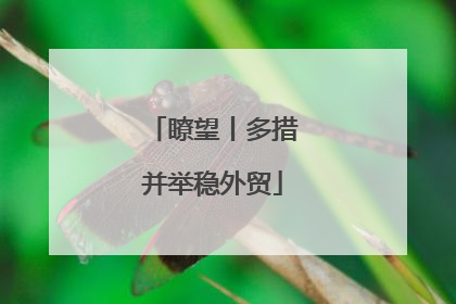 瞭望丨多措并举稳外贸