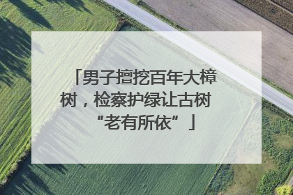 男子擅挖百年大樟树，检察护绿让古树“老有所依”