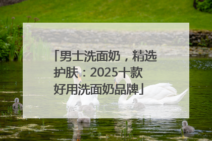男士洗面奶，精选护肤：2025十款好用洗面奶品牌