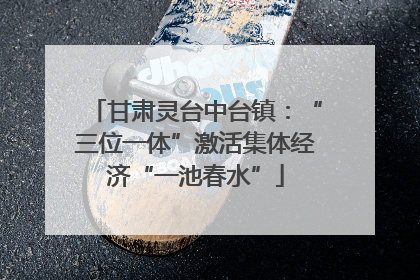 甘肃灵台中台镇：“三位一体”激活集体经济“一池春水”