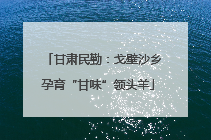 甘肃民勤：戈壁沙乡孕育“甘味”领头羊