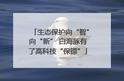 生态保护向“智”向“新” 白海豚有了高科技“保镖”