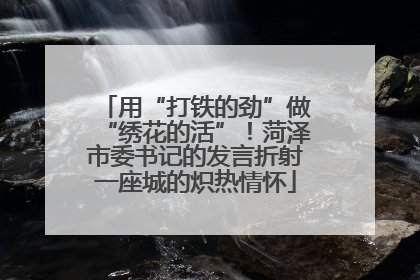 用“打铁的劲”做“绣花的活”！菏泽市委书记的发言折射一座城的炽热情怀