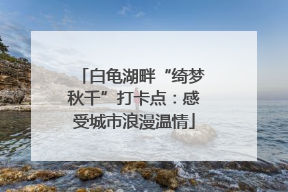 白龟湖畔“绮梦秋千”打卡点：感受城市浪漫温情