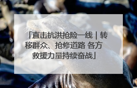 直击抗洪抢险一线｜转移群众、抢修道路 各方救援力量持续奋战