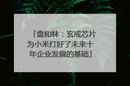 盘和林：玄戒芯片为小米打好了未来十年企业发展的基础