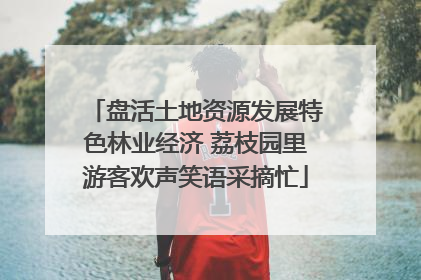 盘活土地资源发展特色林业经济 荔枝园里游客欢声笑语采摘忙