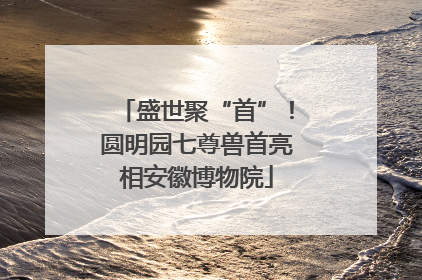 盛世聚“首”！圆明园七尊兽首亮相安徽博物院