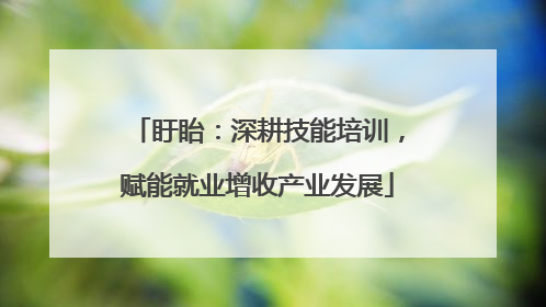 盱眙：深耕技能培训，赋能就业增收产业发展