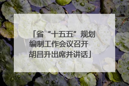 省“十五五”规划编制工作会议召开 胡昌升出席并讲话