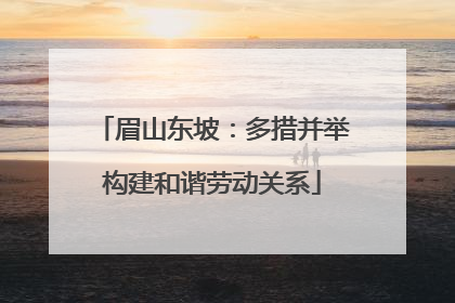 眉山东坡：多措并举构建和谐劳动关系