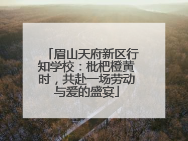 眉山天府新区行知学校：枇杷橙黄时，共赴一场劳动与爱的盛宴