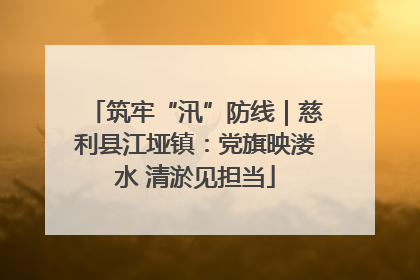 筑牢“汛”防线｜慈利县江垭镇：党旗映溇水 清淤见担当