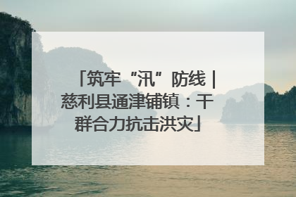 筑牢“汛”防线｜慈利县通津铺镇：干群合力抗击洪灾