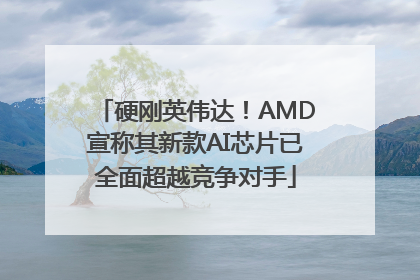 硬刚英伟达！AMD宣称其新款AI芯片已全面超越竞争对手