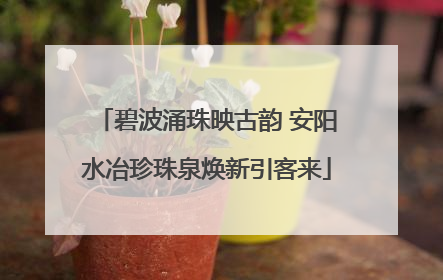 碧波涌珠映古韵 安阳水冶珍珠泉焕新引客来