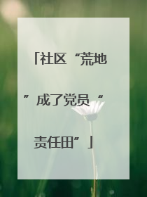 社区“荒地”成了党员“责任田”
