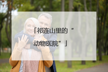 祁连山里的“动物医院”