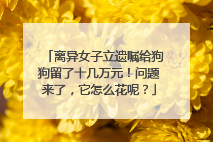 离异女子立遗嘱给狗狗留了十几万元！问题来了，它怎么花呢？