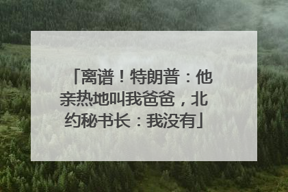 离谱！特朗普：他亲热地叫我爸爸，北约秘书长：我没有