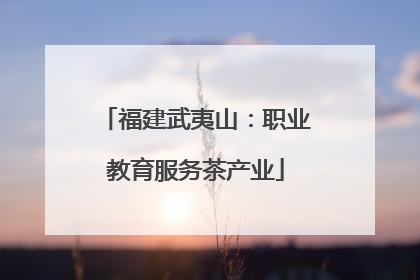 福建武夷山：职业教育服务茶产业